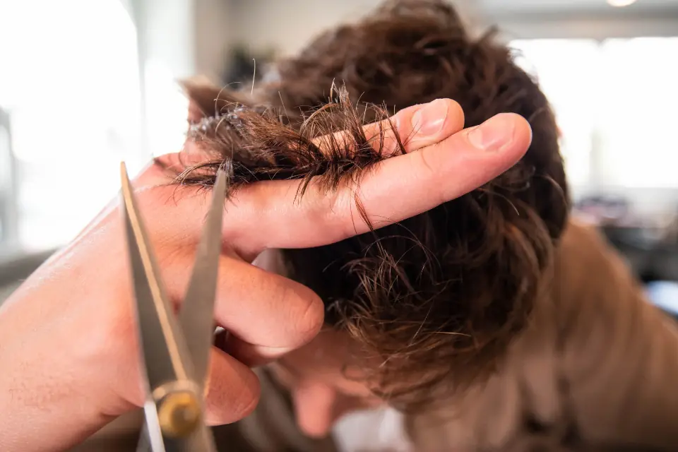A hairdresser trimming a client's hair with scissors